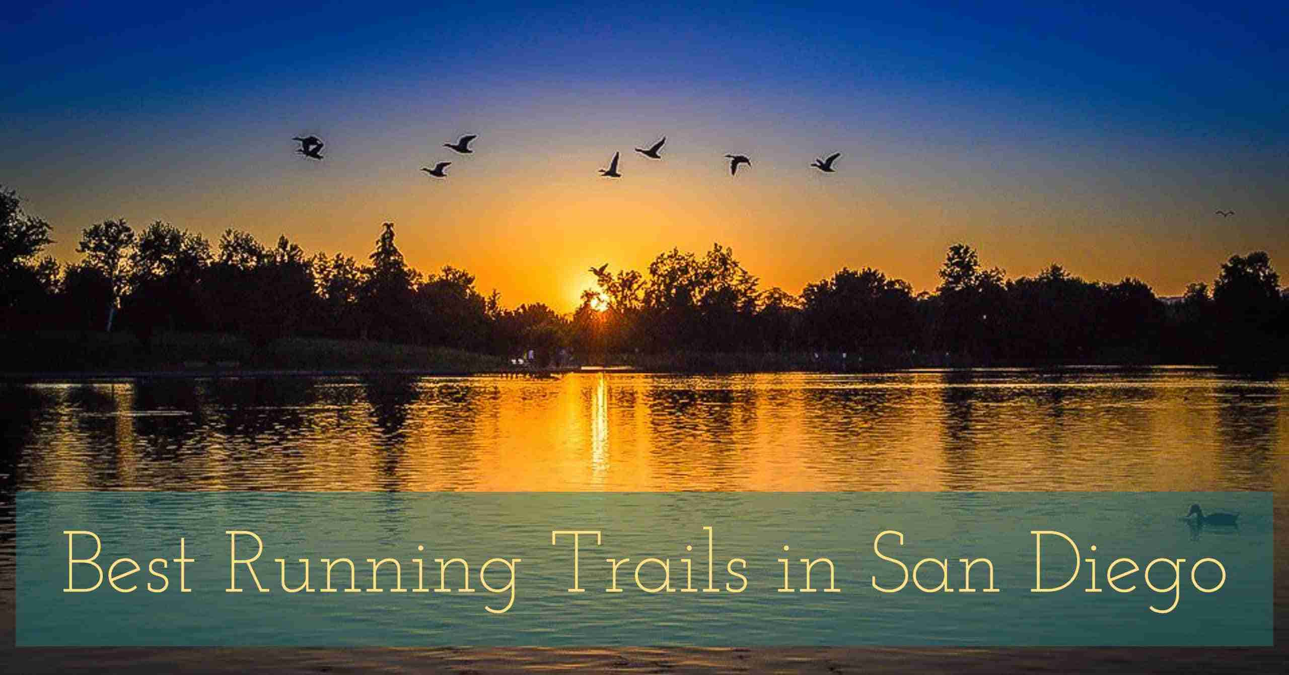 10 Best Running Trails in San Diego – The Top Places to Run