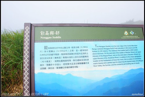 DSC05918
