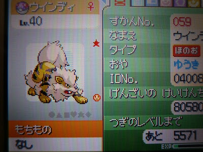 金色の伝説ポケモンとか By ねこの徒然日記