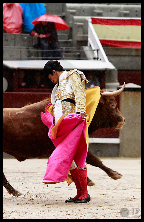 Sergio Flores  4