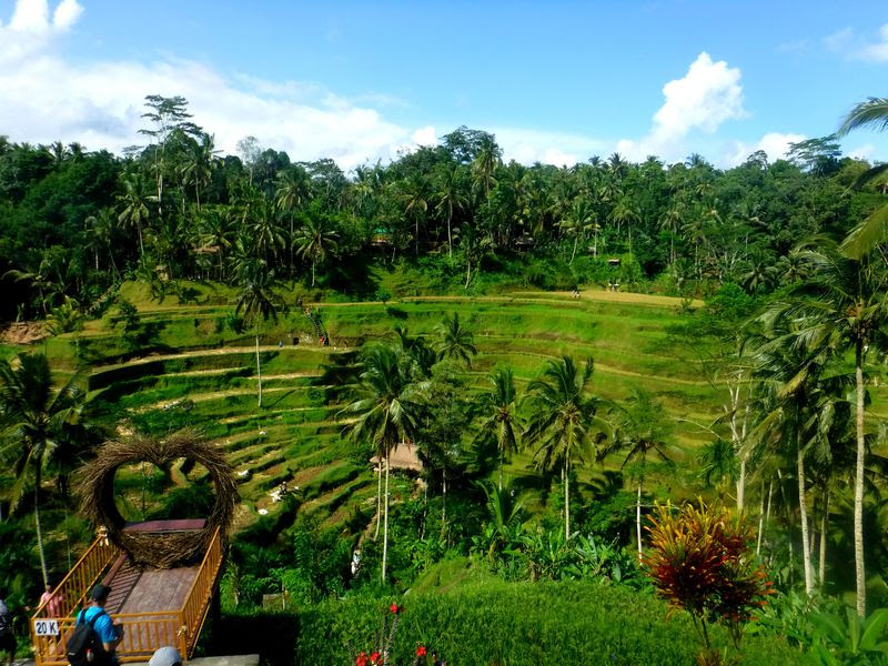 初心者必見 バリ島ウブドで絶対外せない観光スポット５選 インドネシア トラベルjp 旅行ガイド