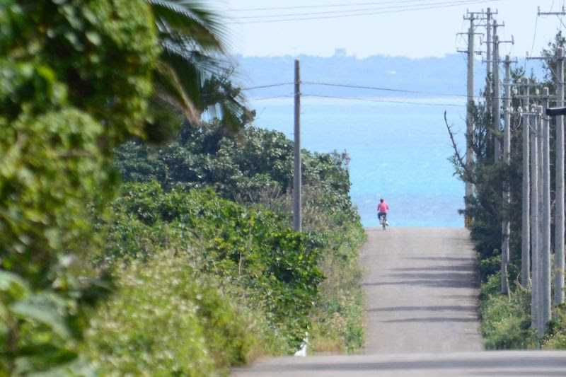 石垣島を拠点に満喫 初めての離島観光2泊3日モデルコース 沖縄県 Lineトラベルjp 旅行ガイド