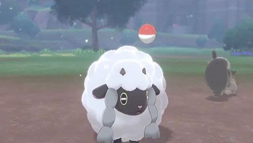 ポケモン剣盾 ウールーさん ホシガリスに蹴り飛ばされるｗｗｗｗｗ インテレオンも挙動がヤバイｗｗ ポケモンアンテナサイト