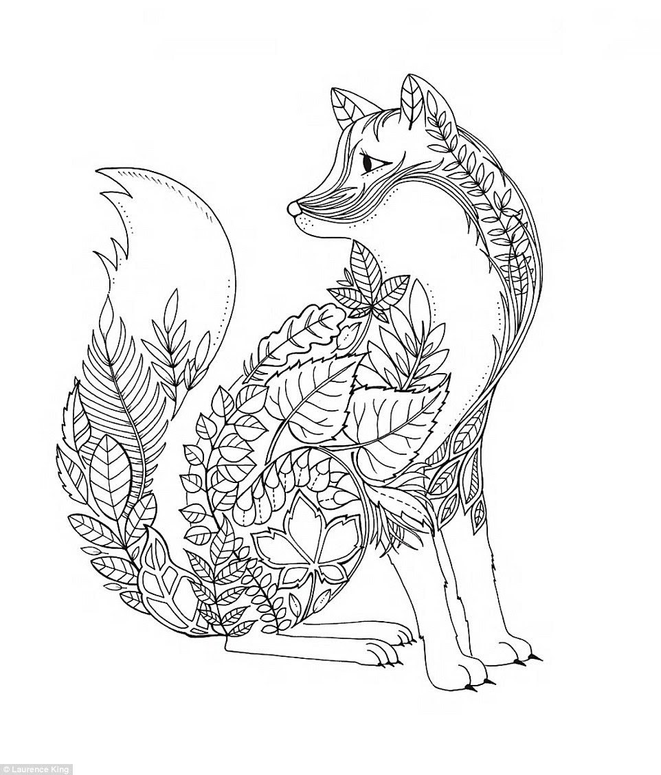 images How To Draw Books For Adults coloring books and drawing coloring secret garden coloring books adult coloring pages nature