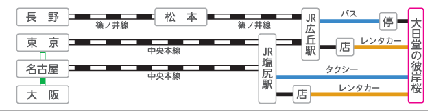 大日堂の彼岸桜 信州いざない街道