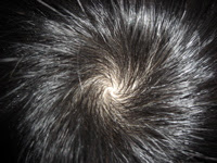 つむじ ｉ ａｍ ａ ｓｏｌｉｔａｒｙ ｔｒａｖｅｌｅｒ