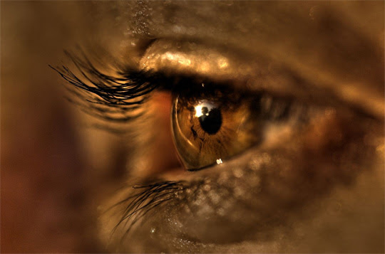 macro photography