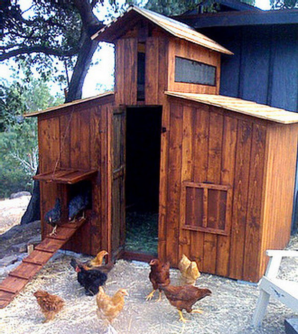 Chicken Coop Ideas - Designs And Layouts For Your Backyard Chickens ...