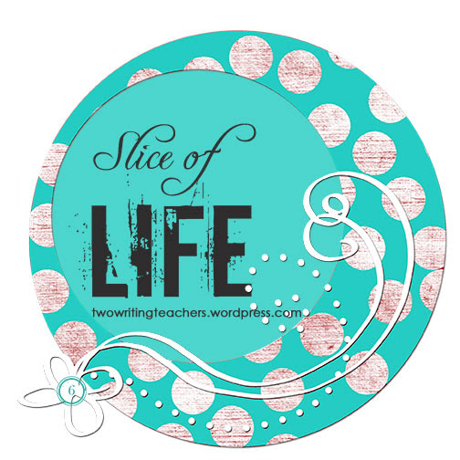 http://twowritingteachers.files.wordpress.com/2013/03/sols_6.jpg