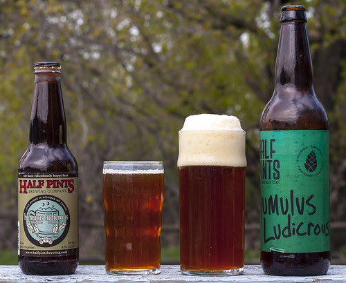 Double Review: Half Pints' Humulus Ludicrous 2010 vs 2011 by Cody La Bière