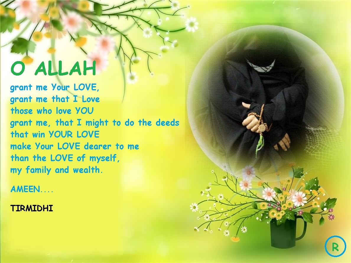 http://24.media.tumblr.com/tumblr_m2kiofBn6N1rrpv0uo1_1280.jpg
