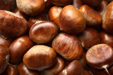 Fresh chestnuts dried
