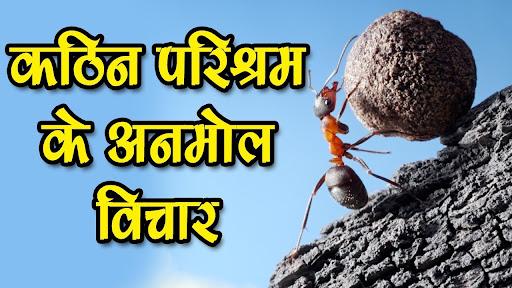 चित्र