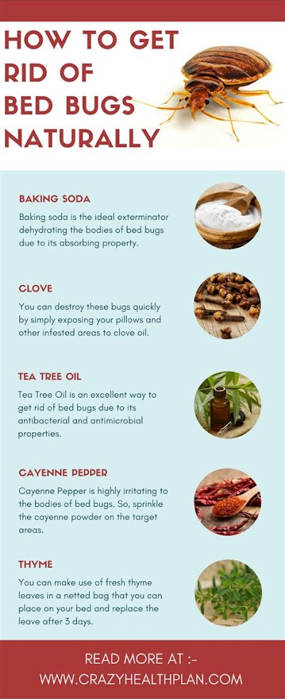 How To Get Rid Of Bed Bugs Yourself: Tips And Tricks