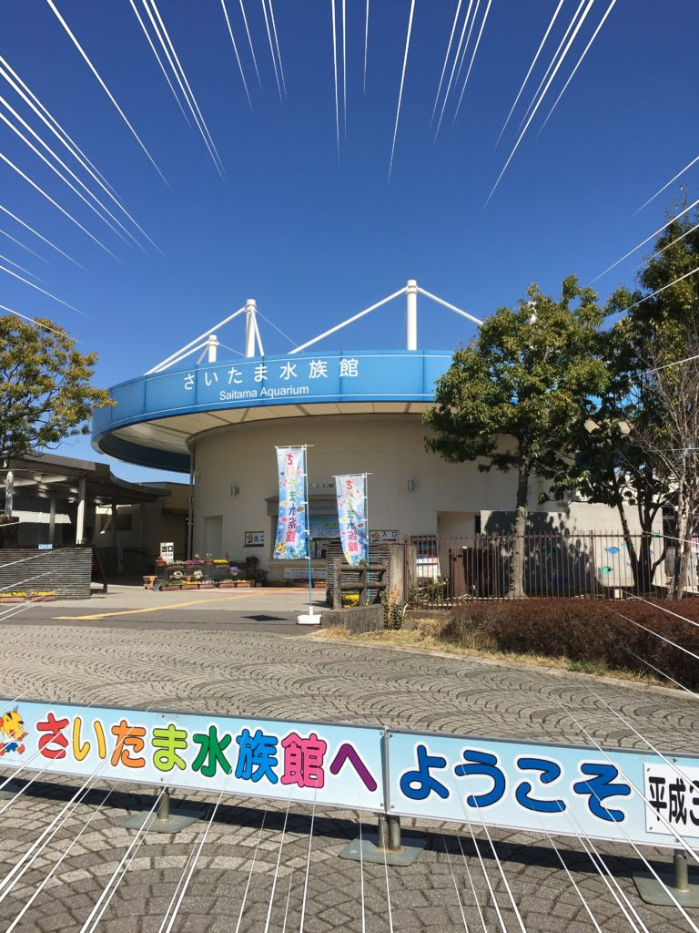さいたま水族館は淡水魚好き必見 子連れも楽しめるお出かけスポット さいたまっぷる