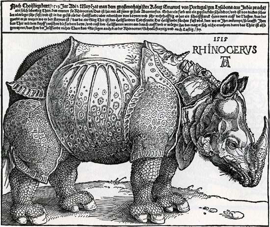 Dürer, Az orrszarvú, 1515