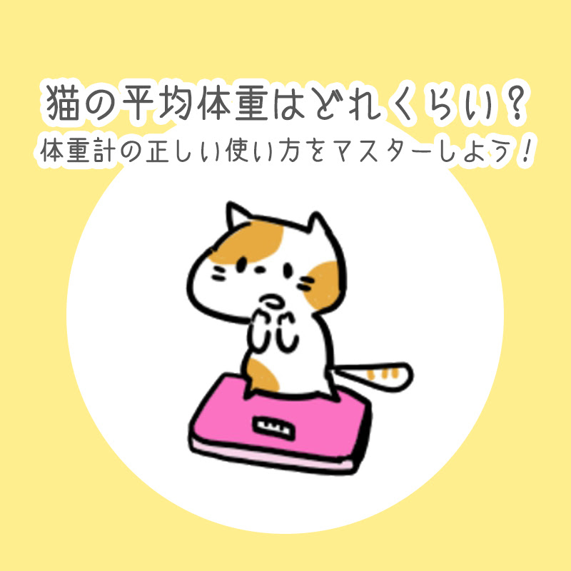 猫の平均体重は 体重計の正しい使い方をマスターしよう