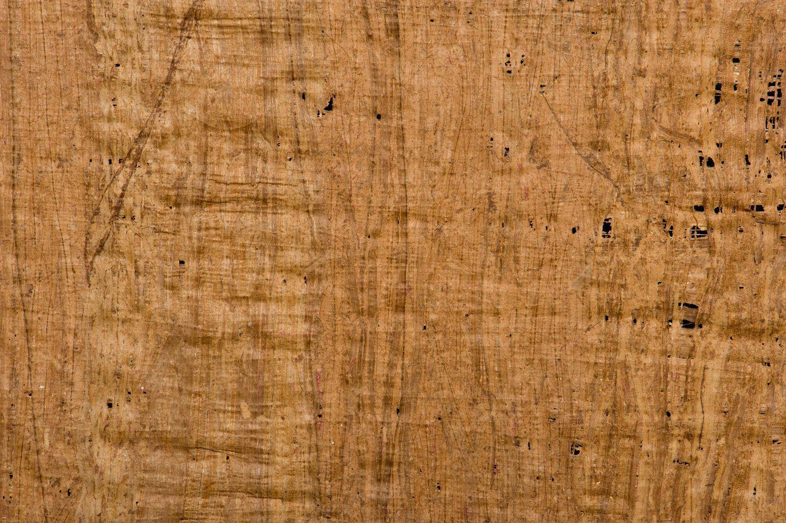 Papyrus Wallpapers Wallpaper Cave Afalchi Free images wallpape [afalchi.blogspot.com]