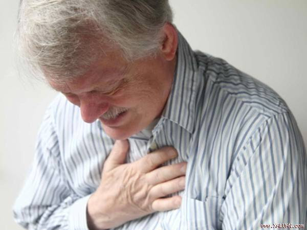 Tóc bạc và nguy cơ tim mạch ở nam giới