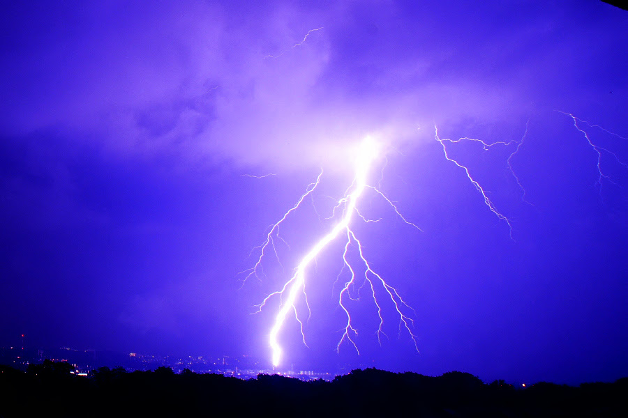 Today S Sachi 月星雷他