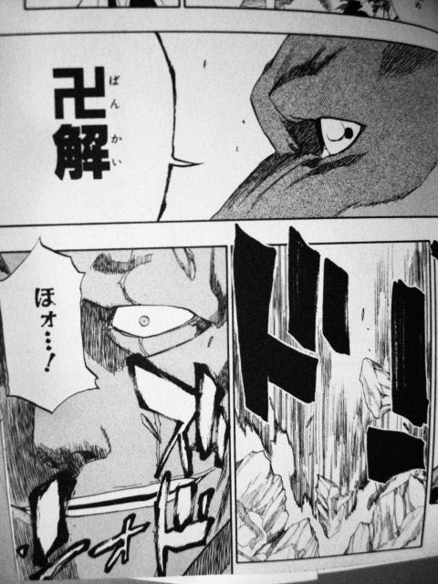 卍解 Bleachブリーチより １問１答 それ 最高です