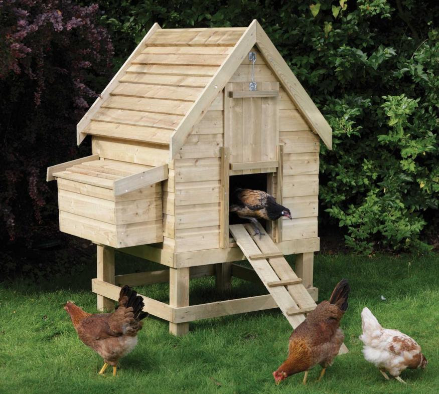 Chicken Co-op Plans