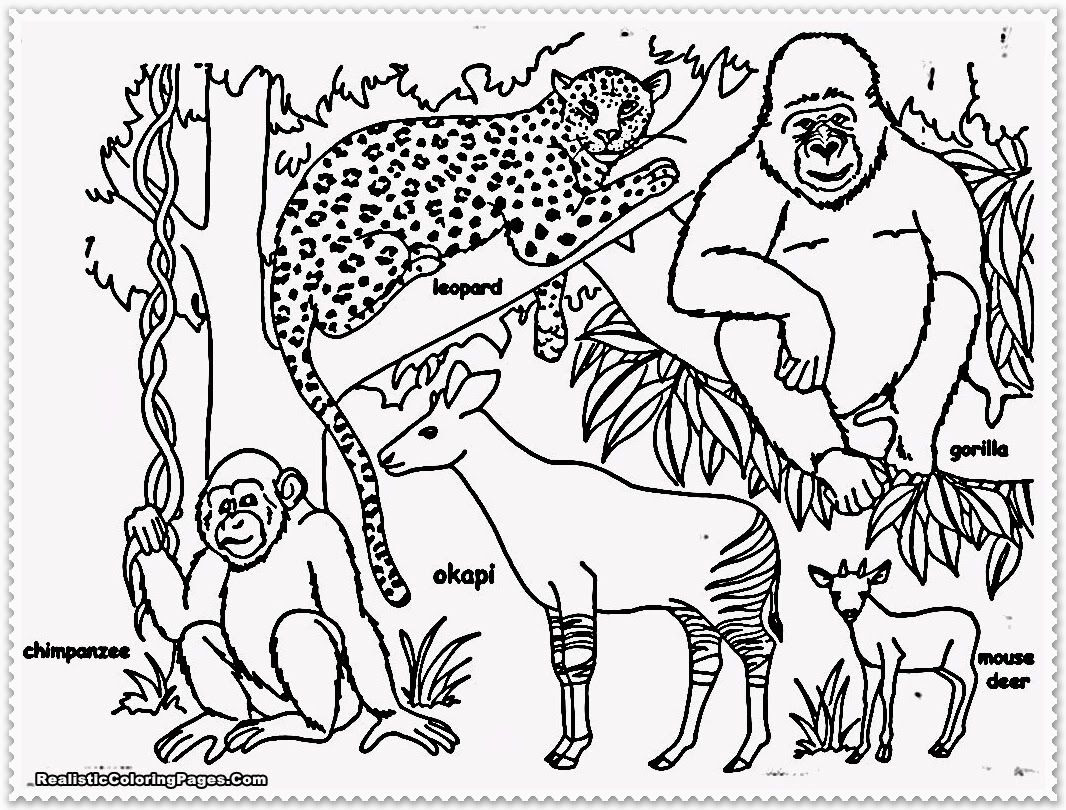 Download 11 Pics Of Jungle Theme Coloring Pages - Gecko Animals ...