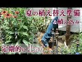 [最も欲しかった] ガーデニング 日陰 花 572228-ガーデニング 日陰 花 こんもり