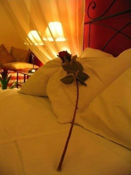 Bonne nuit bonne soirée.