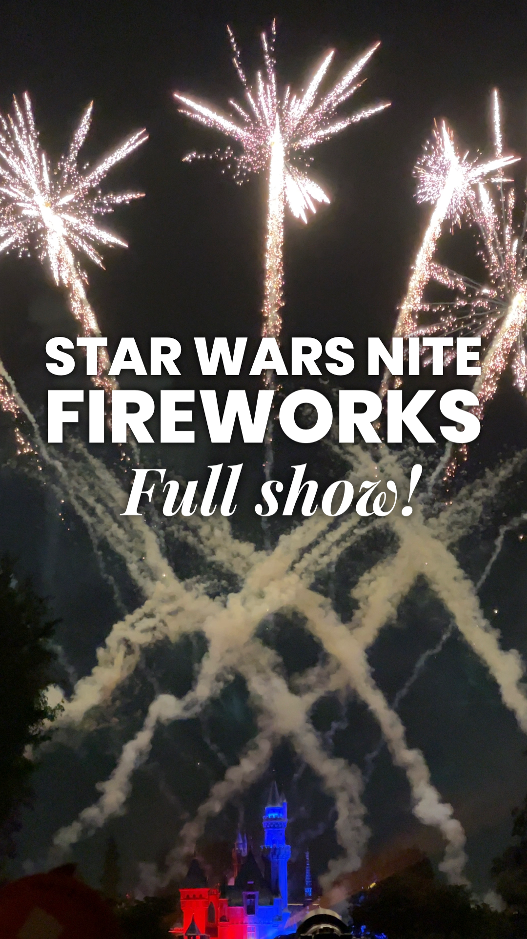Star Wars Nite at Disneyland| Anakin and His Angel