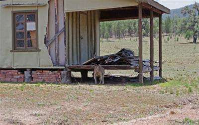 Image Hosted by ImageShack.us