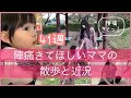 選択した画像 陣痛 散歩 196171-散歩後 陣痛