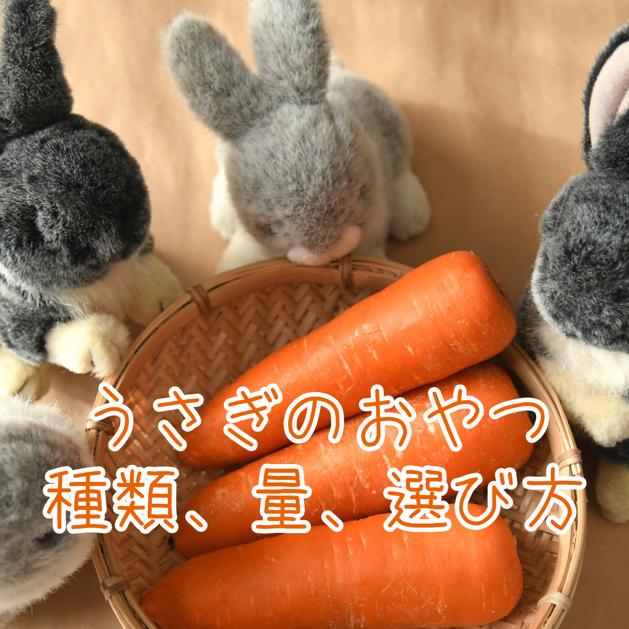 うさぎにあげてもいいおやつの種類 量 選び方のポイントは