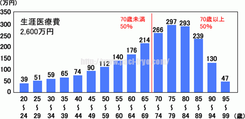 医療の25年問題は 日本文化のパラダイムシフトを要求している Business Coaching Ad Libitum