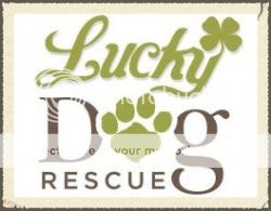  photo 3959271d-7a55-4d03-ad1a-dd23cf7bbeb4.jpg