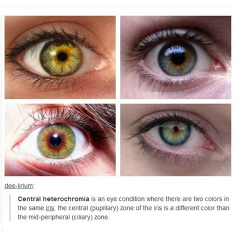 This chart ensures that the minimum vision requirements are met and upheld. no photo description available eye color chart eye color central