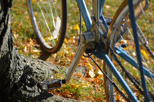 Alenax Transbar Power