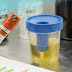Drug Test - Amazon Com Prime Screen 14 Panel Urine Drug Test Cup Instant Testing Marijuana Thc Opi Amp Bar Bup Bzo Coc Mamp Mdma Mtd Oxy Pcp Ppx Tca With 3 Adulterations And Temperature Strips : For employers and staffing agencies, our drug testing centers can arrange for an immediate drug test for your applicant or employee anywhere in the country.