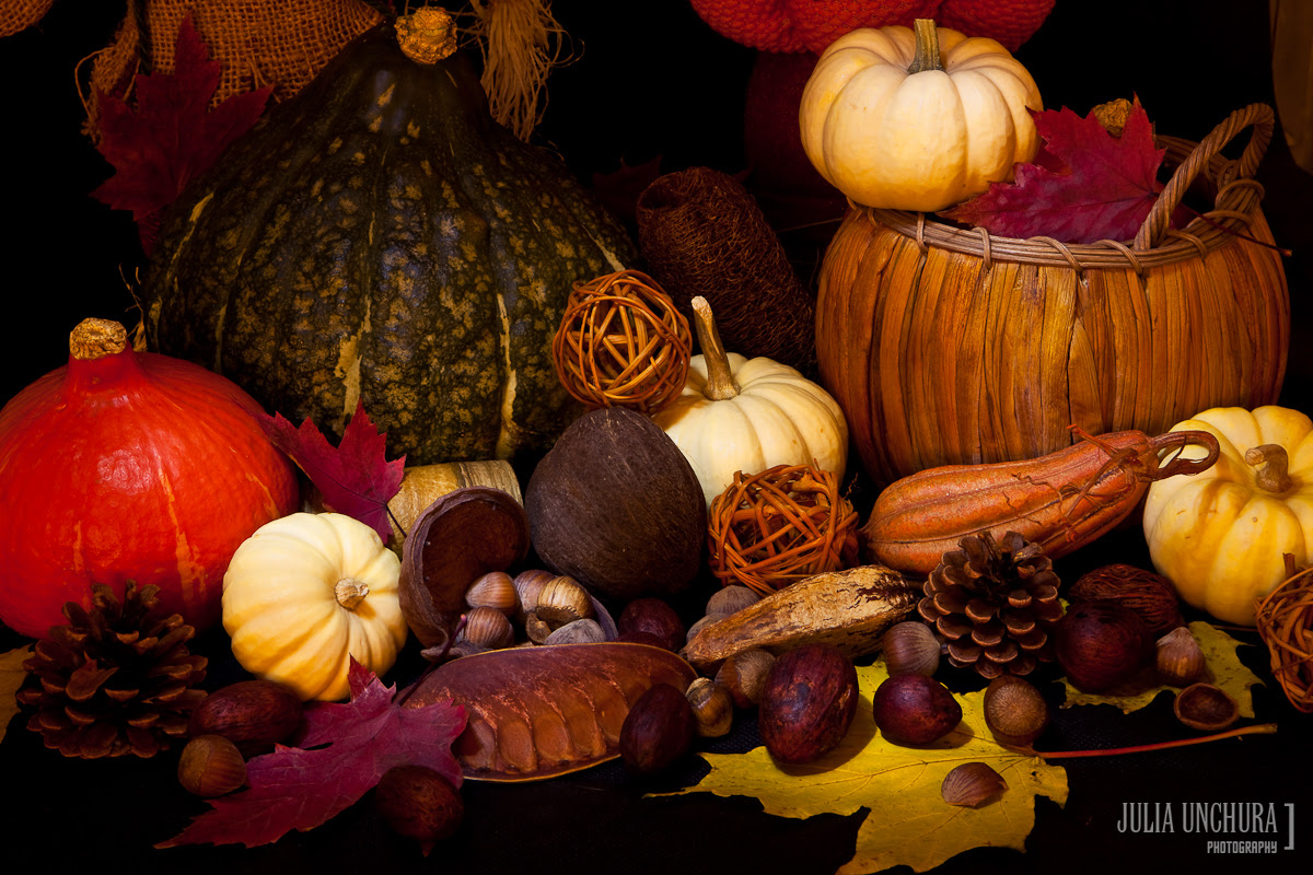 20091031-IMG_9323