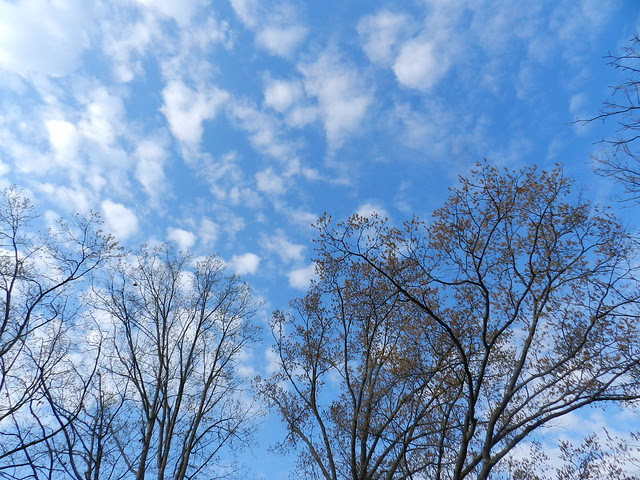 skywatclDSCN8645