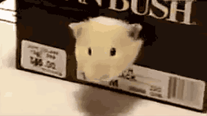 Almooooooooost There Gifs