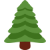 🌲