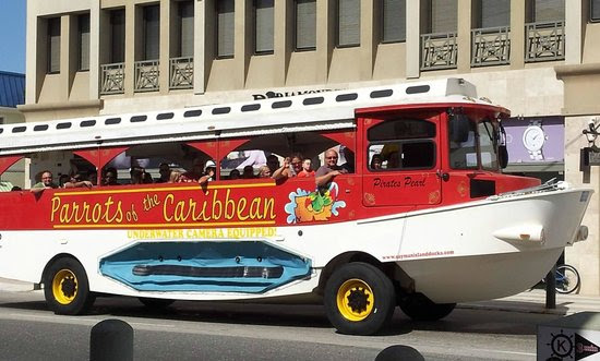 Duck boat/bus we road in for tour. - Picture of Parrots of ...