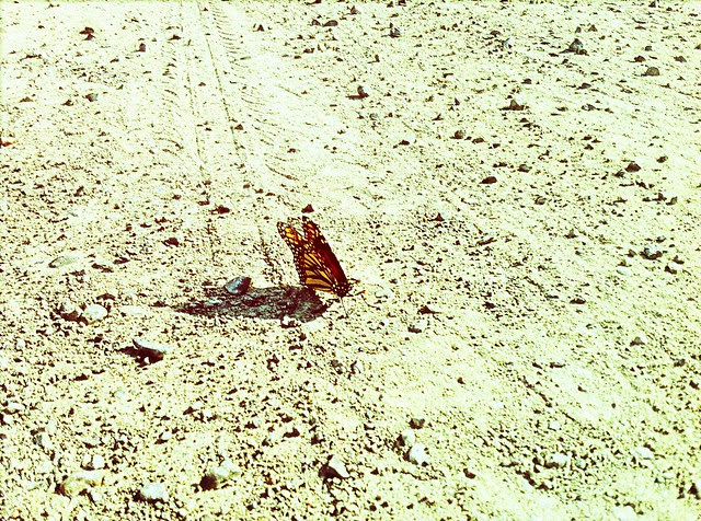 Road to Nowhere...