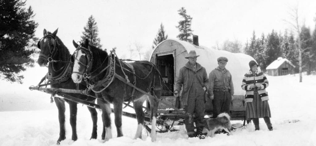 jenny lake school buss