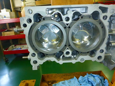 Revolution Daily Report