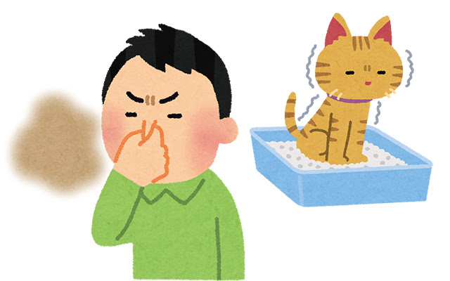 猫がウンチを隠す理由 我が家の愛猫はどんな気持ち