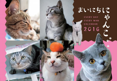 まいにちにゃんこ ２０１６ 発売です 来年のカレンダーは ひめくり で決まり フェリシモ猫部