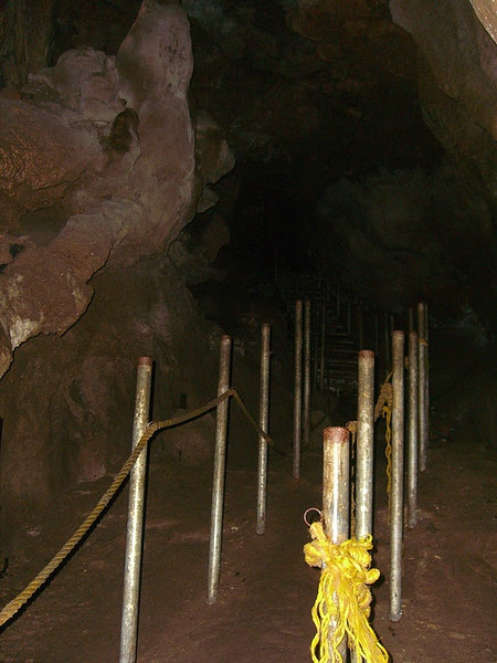 CIMG6962.JPG
