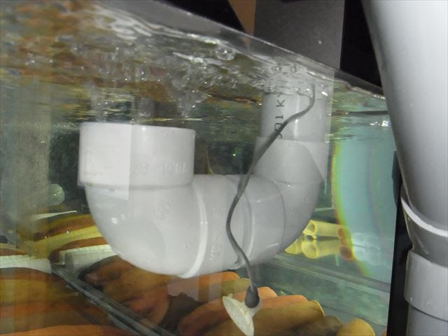 ８９のカスタムlife 我が家の水槽部屋 最初で 最後の投稿